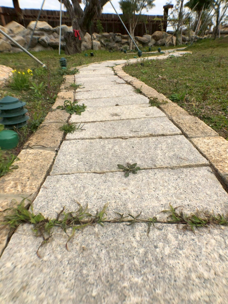 LINE_ALBUM_彰化接待會所_251202_3