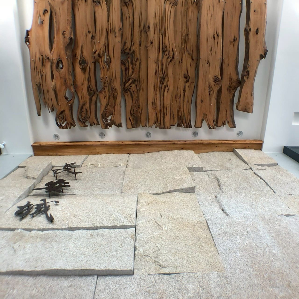 LINE_ALBUM_石皮_251202_9